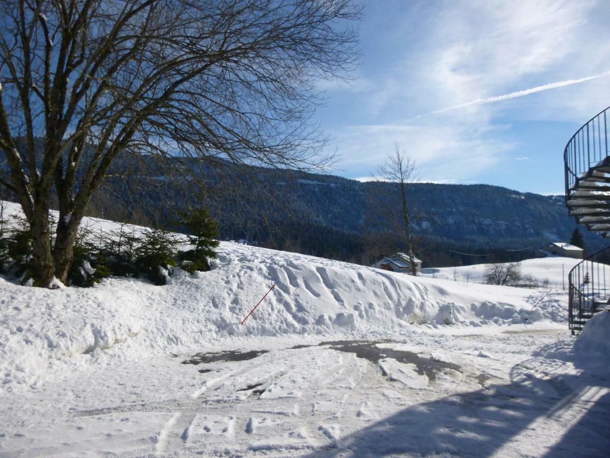 Les Chamois Apartment Lajoux
