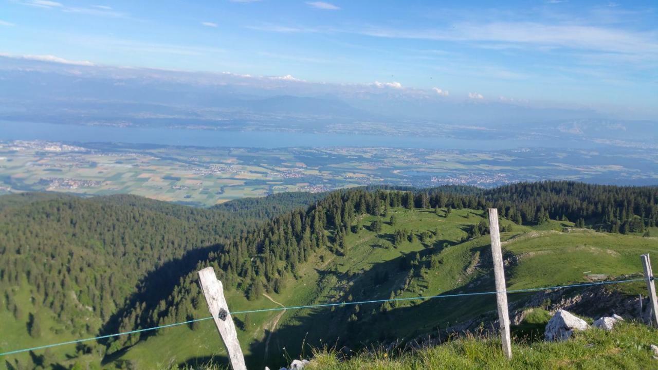 Les Chamois * Lajoux