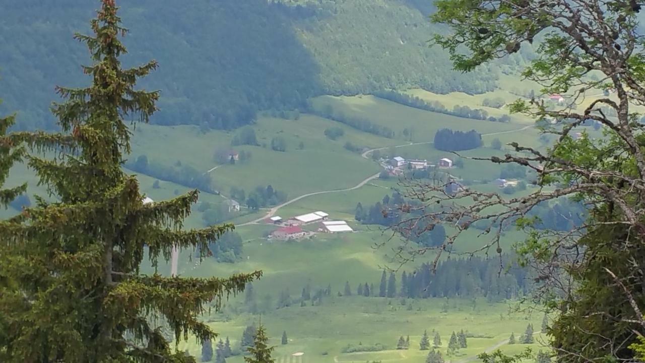 Les Chamois Lajoux
