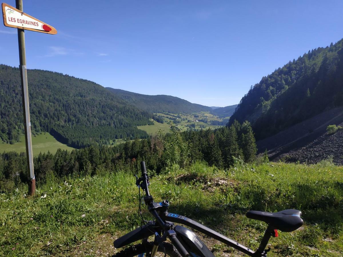 Les Chamois Apartment Lajoux