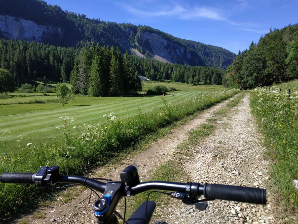 Les Chamois * Lajoux