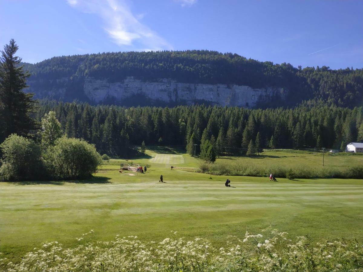 Les Chamois Apartment Lajoux
