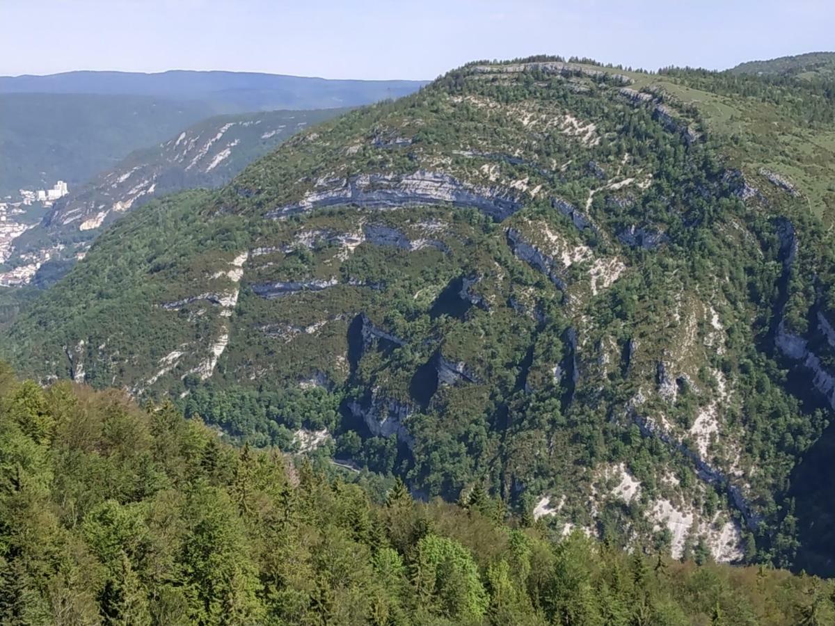 Les Chamois * Lajoux